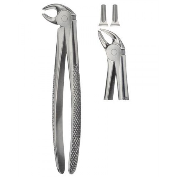  Tooth Forceps for Lower 